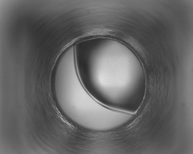 X0000083620834200702120747