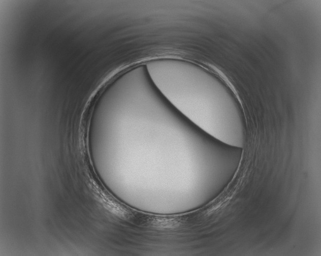 X0000083620835200702120747