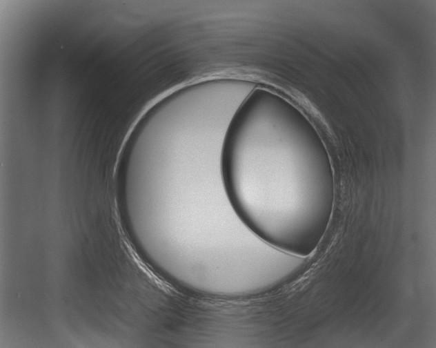 X0000083620838200702120747