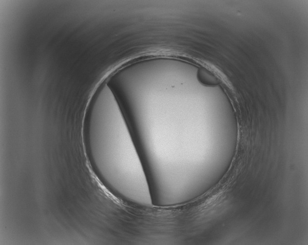 X0000083620839200702120747