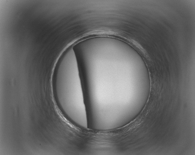 X0000083620840200702120747