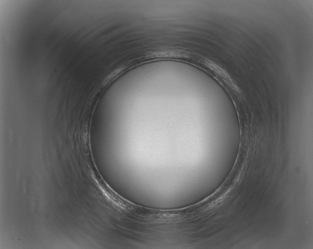 X0000083620841200702120747