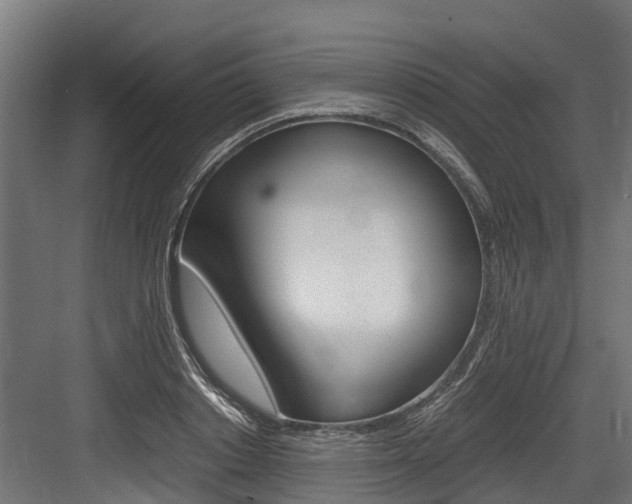 X0000083620842200702120747
