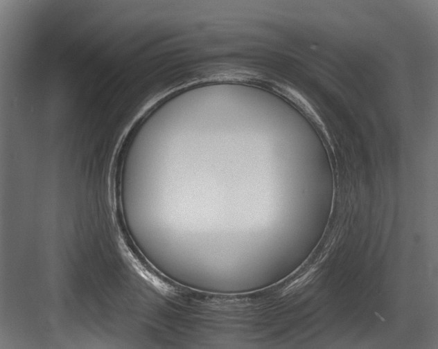 X0000083620843200702120747