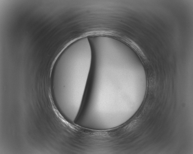 X0000083620844200702120747