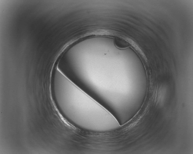 X0000083620845200702120747