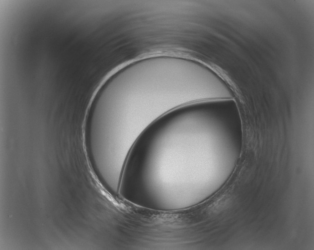 X0000083620846200702120747