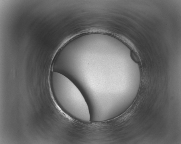 X0000083620847200702120747