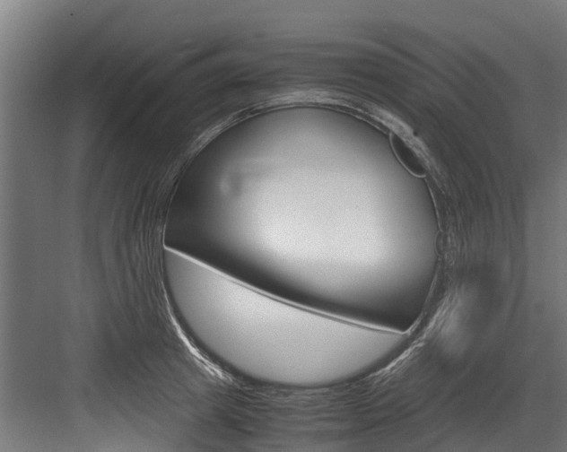 X0000083620849200702120747