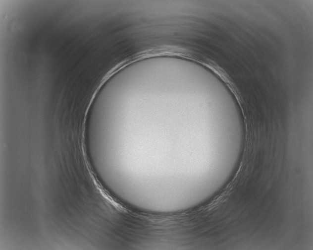 X0000083620850200702120747