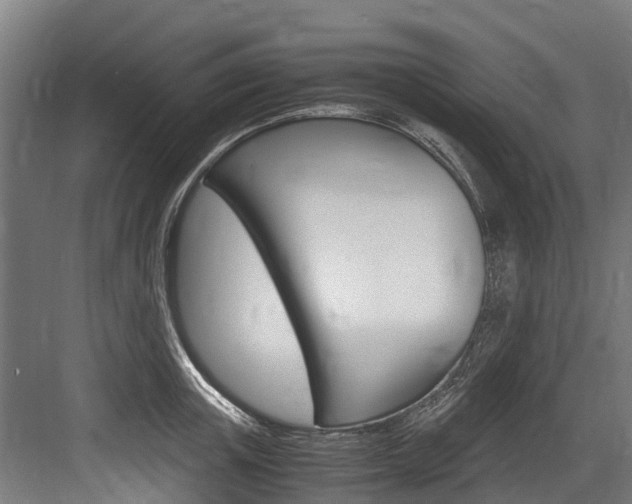 X0000083620851200702120747