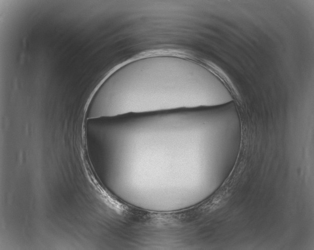 X0000083620852200702120747