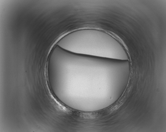 X0000083620855200702120747