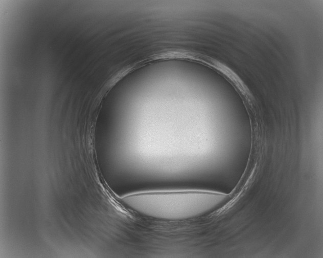 X0000083620857200702120747