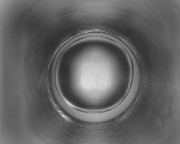 X0000083620858200702120747
