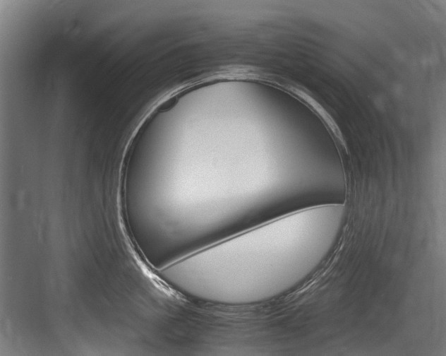 X0000083620861200702120748