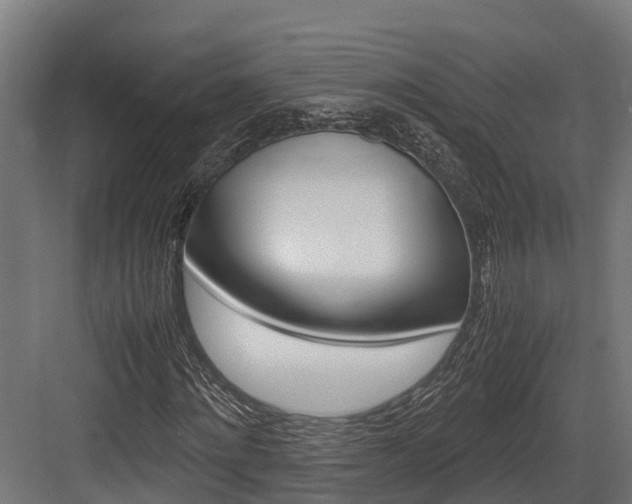 X0000083620868200702120747