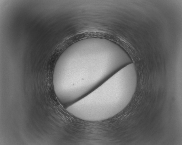 X0000083620870200702120747