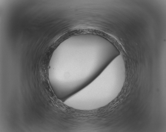 X0000083620871200702120747