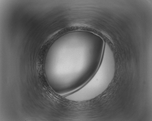 X0000083620872200702120747