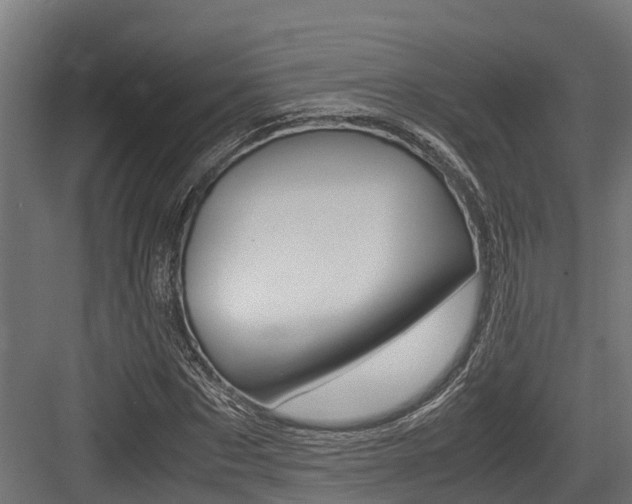 X0000083620873200702120747