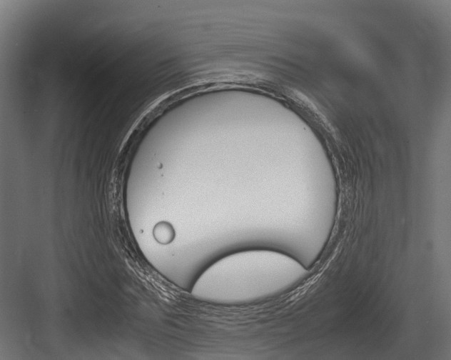 X0000083620875200702120747