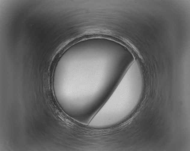 X0000083620877200702120747
