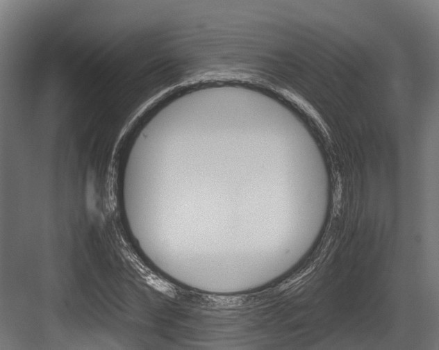 X0000083620878200702120747