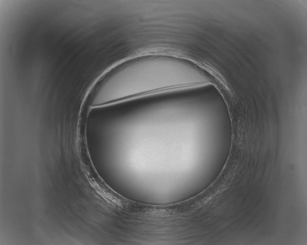 X0000083620880200702120747