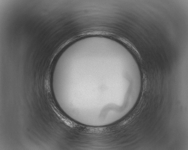 X0000083620882200702120747