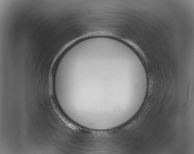 X0000083620886200702120746