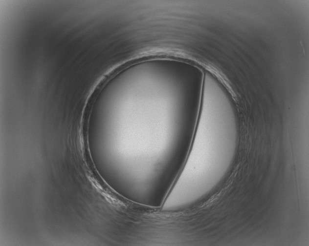X0000083620888200702120746