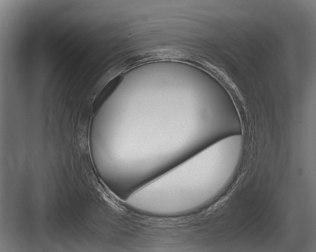 X0000083620889200702120746