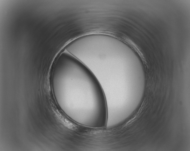 X0000083620892200702120746