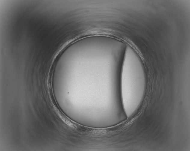 X0000083620893200702120746