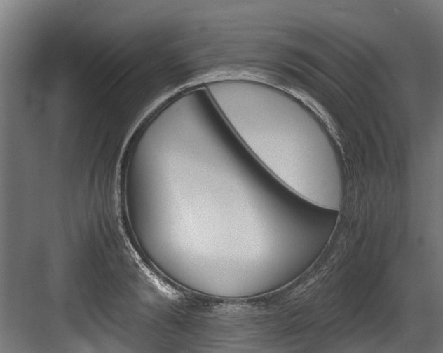 X0000083620894200702120746