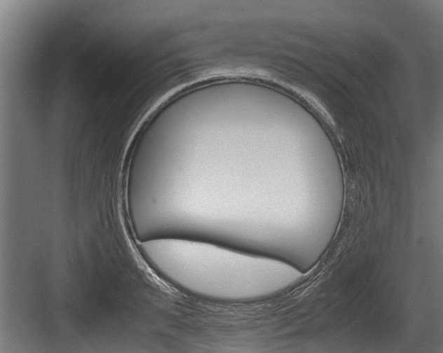 X0000083620895200702120746