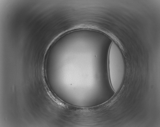 X0000083620896200702120746