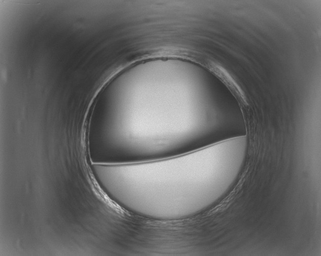 X0000083620900200702120746
