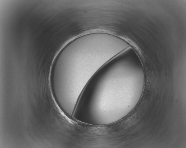 X0000083620902200702120746