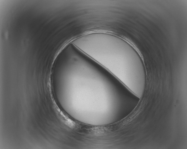 X0000083620906200702120746