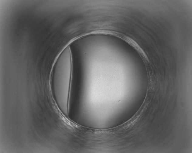 X0000083620908200702120746
