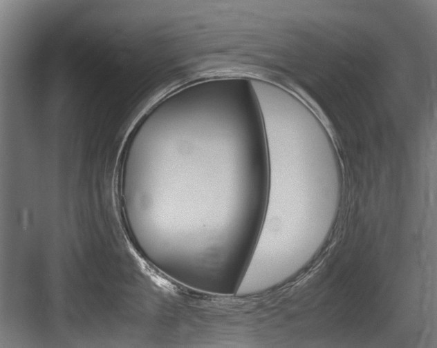 X0000083620909200702120746
