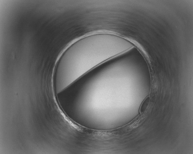X0000083620910200702120746