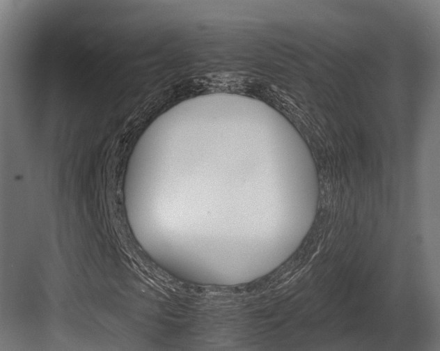 X0000083620913200702120745