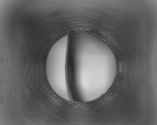 X0000083620915200702120745
