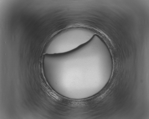 X0000083620921200702120745