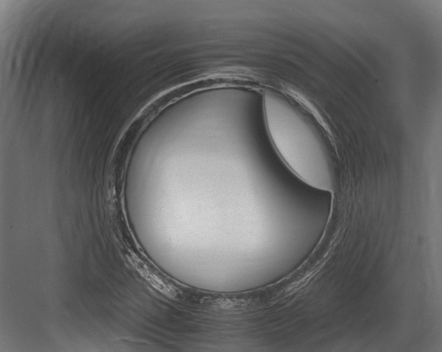 X0000083620923200702120745