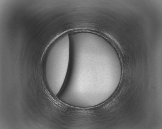 X0000083620925200702120745