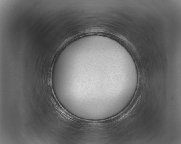 X0000083620929200702120745